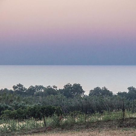 Villa Manoutsio Episkopi  Bagian luar foto